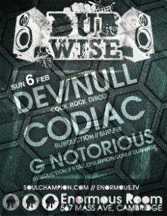 DUBWISE