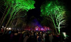 electric forest electric forest